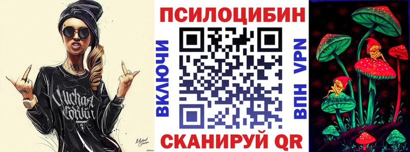 купить наркотик Нестеров Галлюциногенные грибы Cubensis